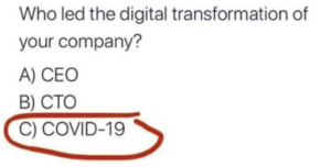 Who led the digital transformation of your company?